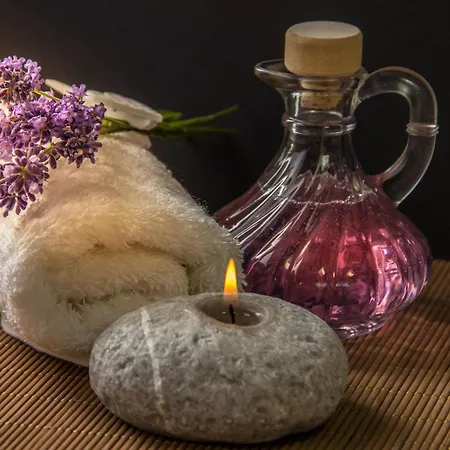 L'opale Ferienhaus Sallertaine