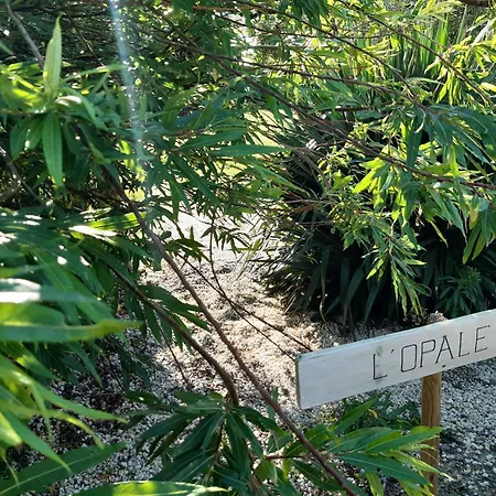 بيت للعطل L'opale *